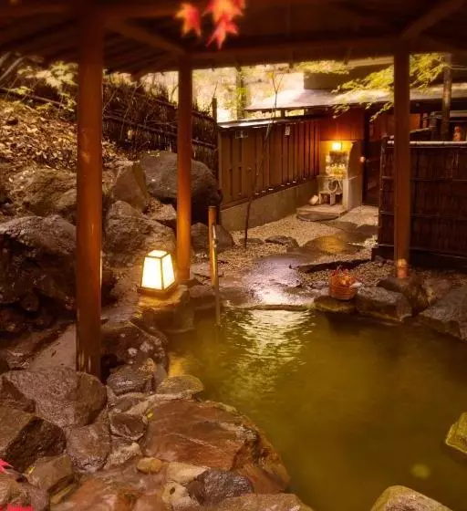 ریوکان Ichikawa Bekkan Seikanso
