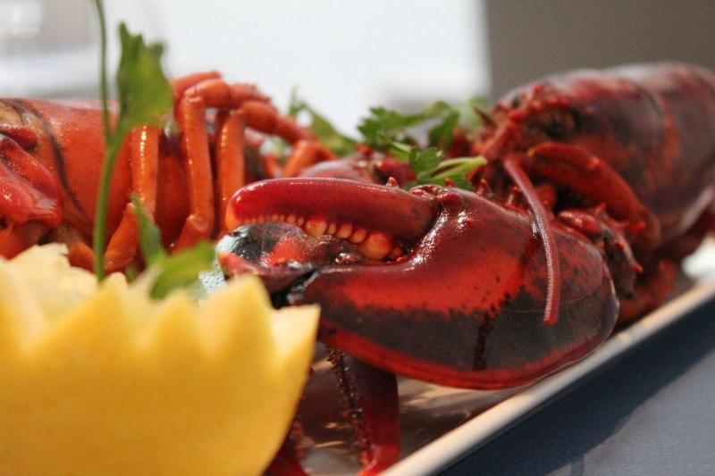 فندق صغير Hostal La Creu