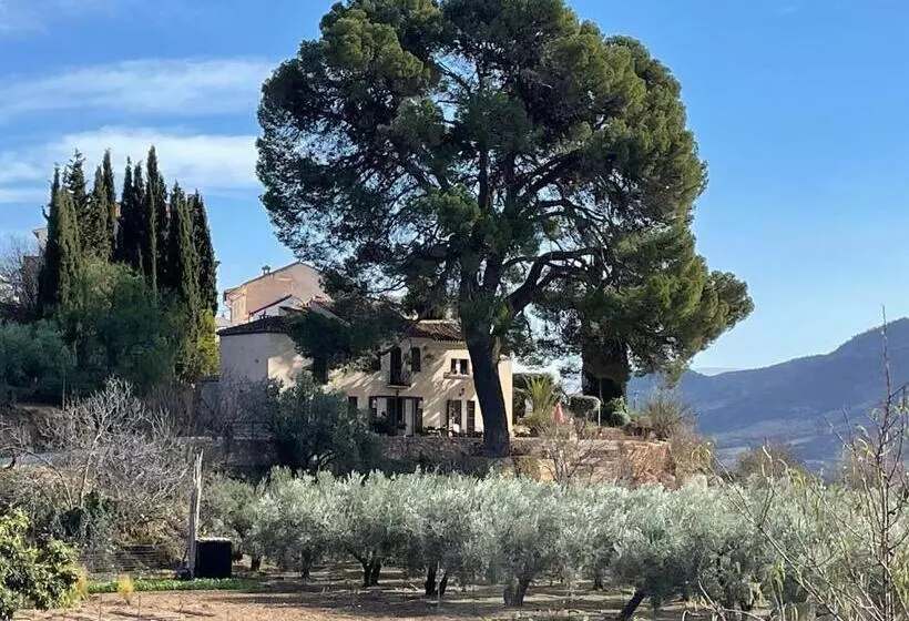 Aamiaismajoitus (B&B) Cortijo El Pino Retreat