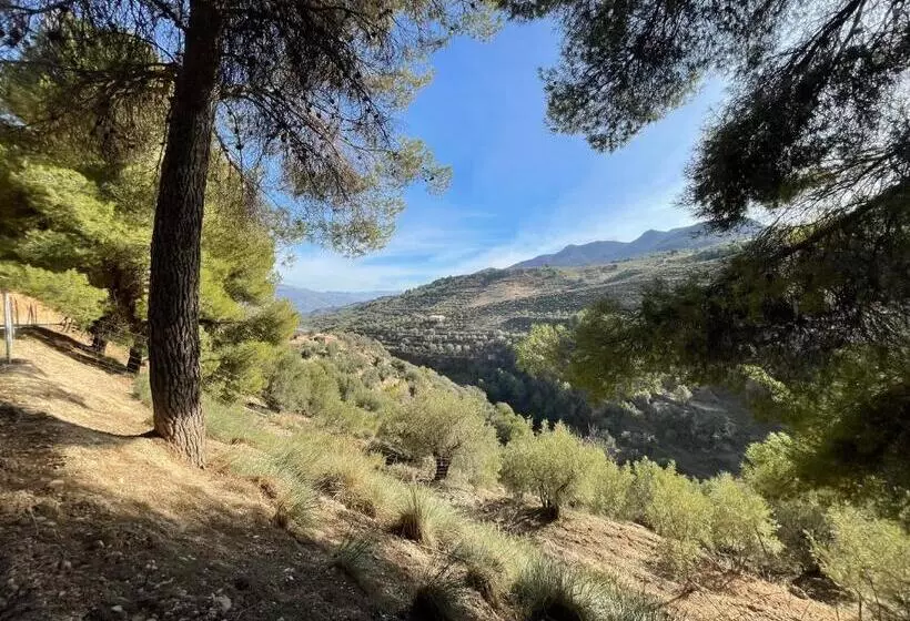Aamiaismajoitus (B&B) Cortijo El Pino Retreat