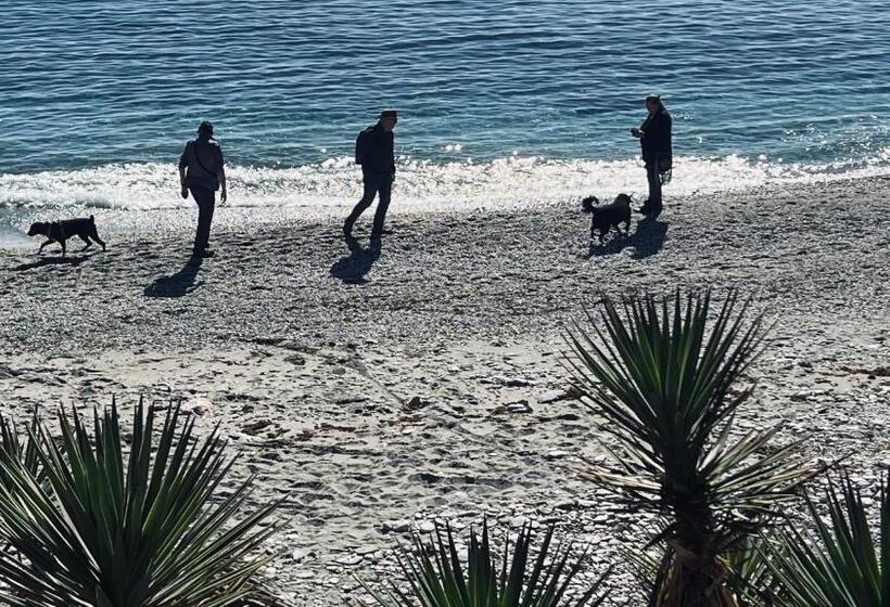 Bed and Breakfast Cortijo El Pino Retreat