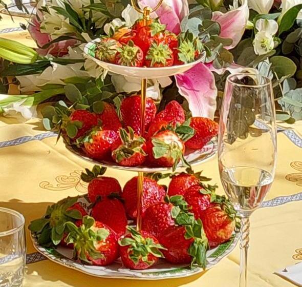 Bed and Breakfast Cortijo El Pino Retreat