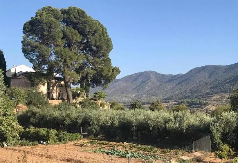 Aamiaismajoitus (B&B) Cortijo El Pino Retreat