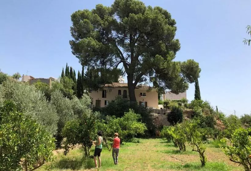 Aamiaismajoitus (B&B) Cortijo El Pino Retreat