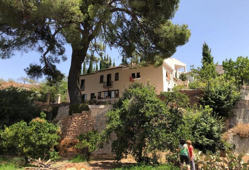 Bed and Breakfast Cortijo El Pino Retreat