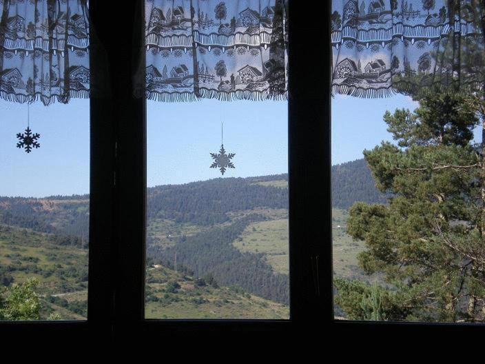 ベッドアンドブレックファースト Niu Dels Falcons