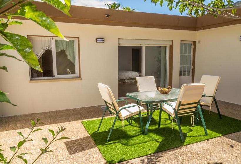 צימר Palm Luxury Retreat