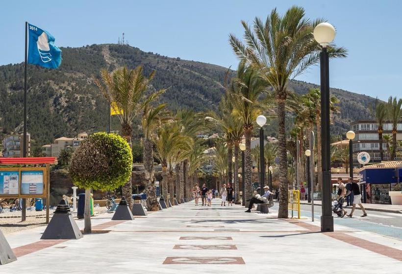 צימר Palm Luxury Retreat