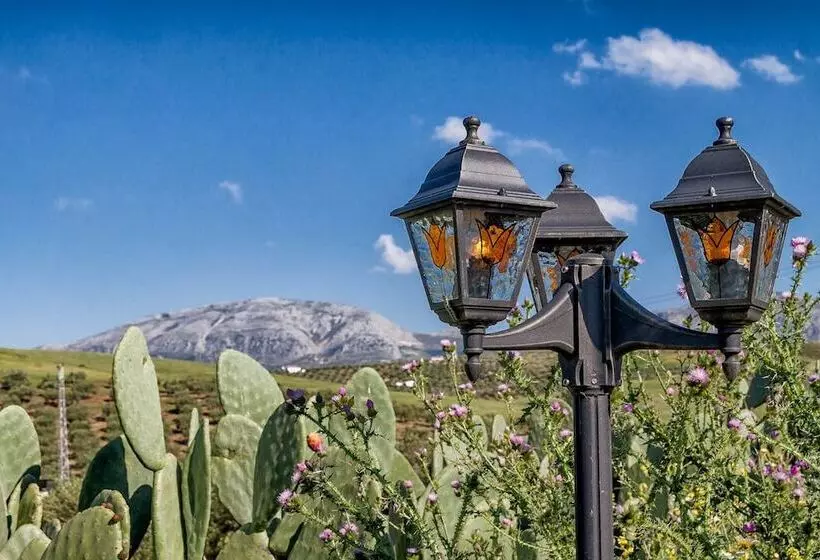 Bed & Breakfast Dos Alamos