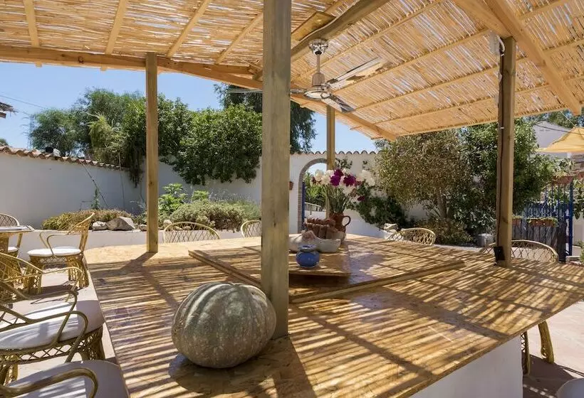 Bed & Breakfast Dos Alamos
