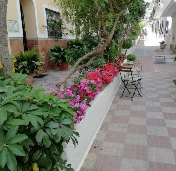 בית מלון כפרי Avenida 31