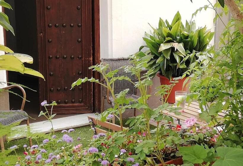 בית מלון כפרי Avenida 31