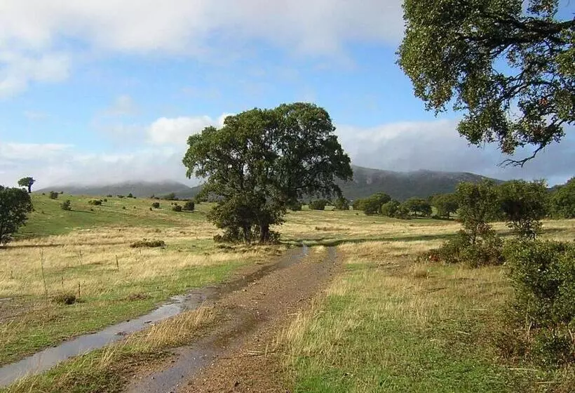 ホテル Casa Del Valle, Lodges