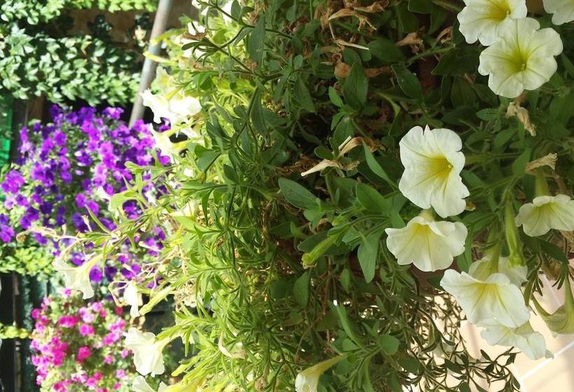 Hotel El Cau Del Papibou   Adults Only