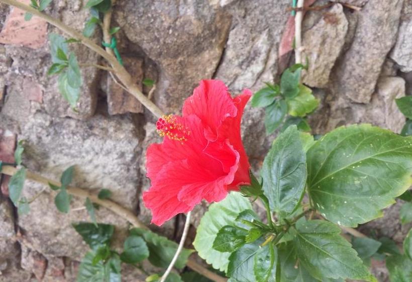 Hotel El Cau Del Papibou   Adults Only