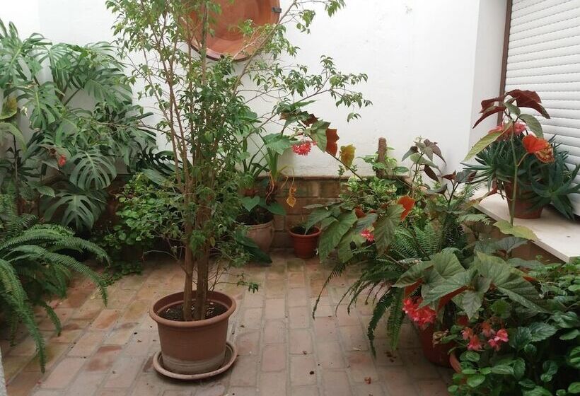 酒店 El Perro De Paterna