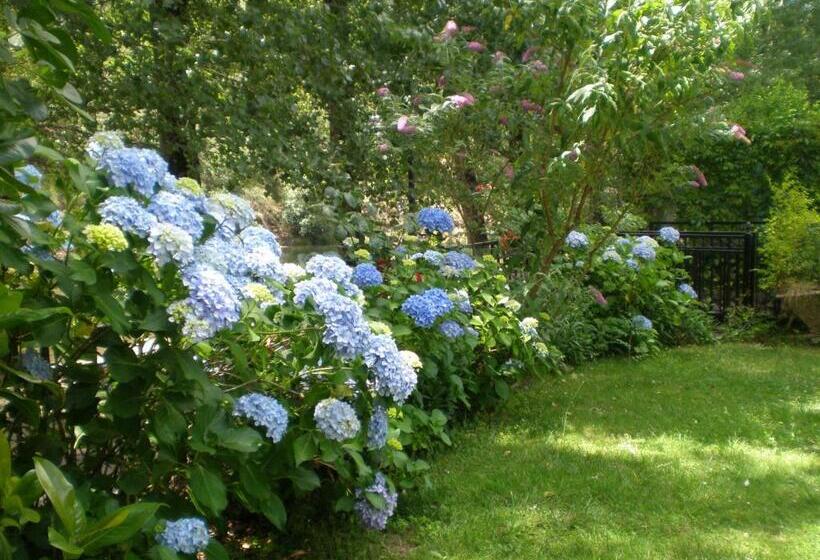 فندق Rural Castúo H Cc 656