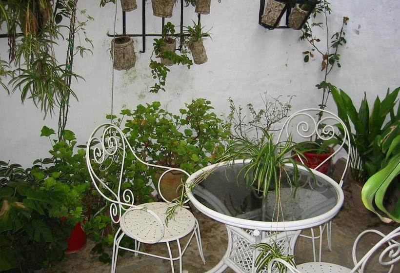 레지던스 Villa Del Municipal