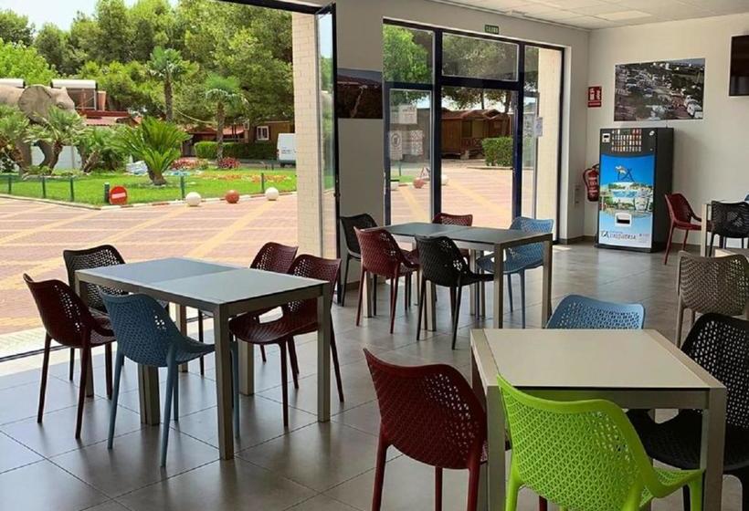 منتجع Camping L'alqueria