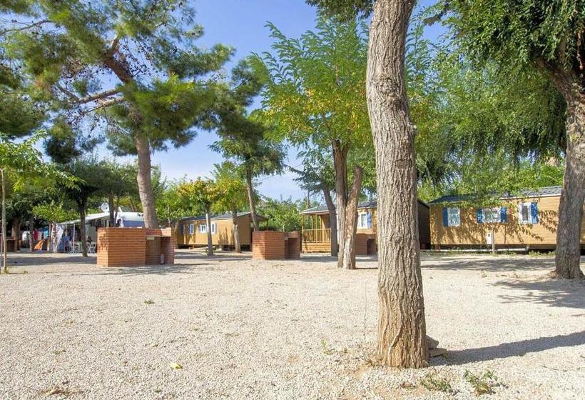 منتجع Camping L'alqueria