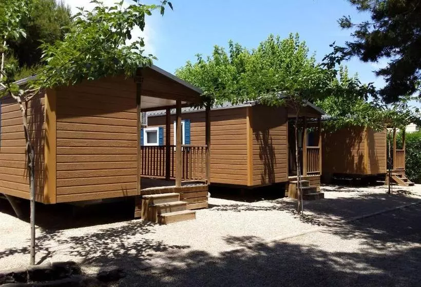 استراحتگاه Camping L'alqueria