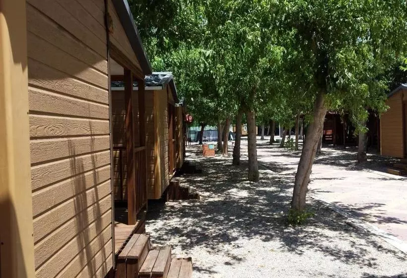استراحتگاه Camping L'alqueria