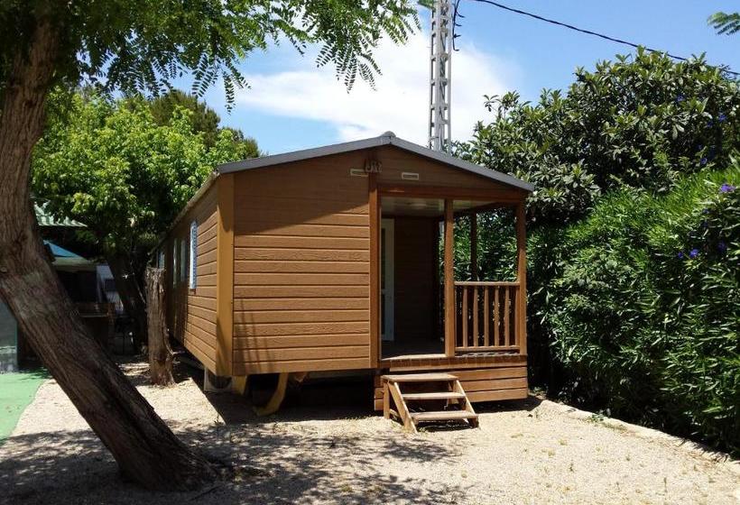 منتجع Camping L'alqueria