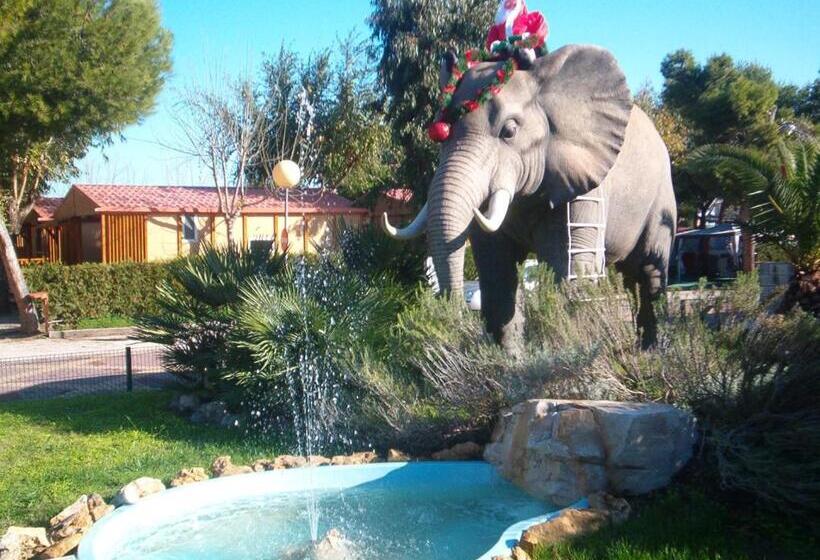 منتجع Camping L'alqueria