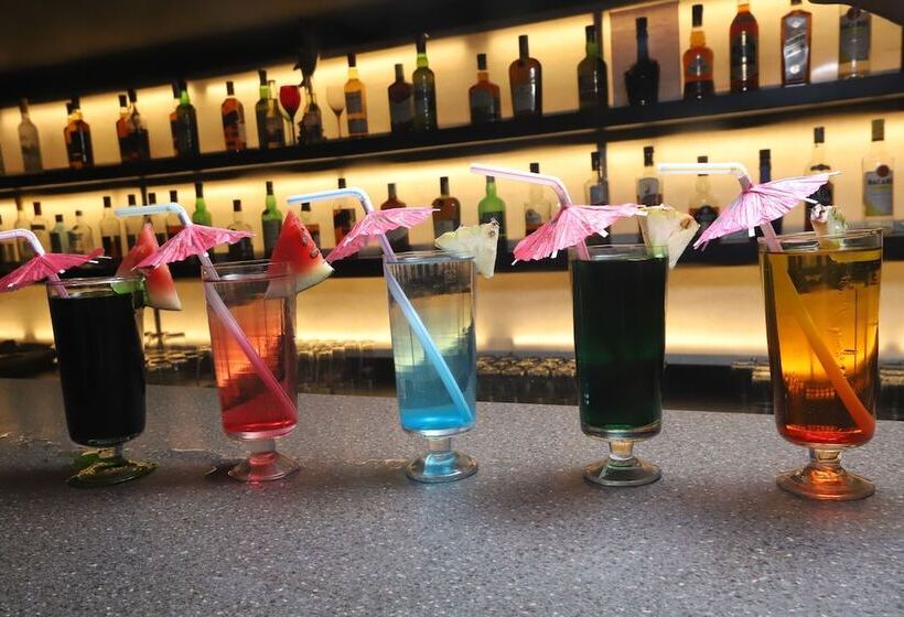 Hôtel Radhika Regency