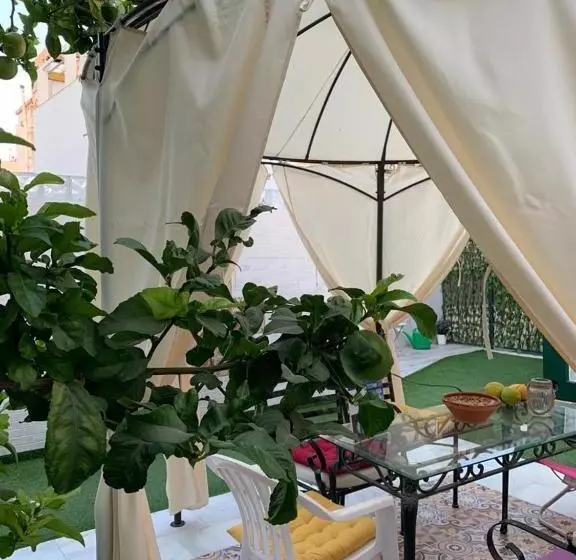 Málaga Centro Hostel