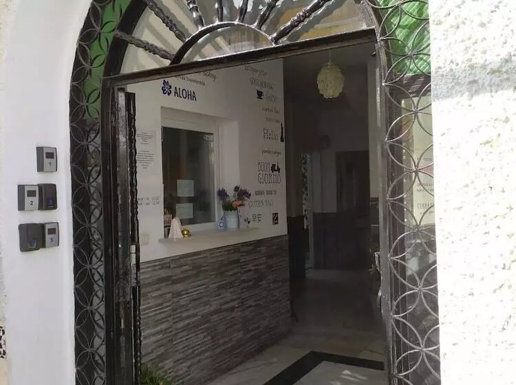 Málaga Centro Hostel
