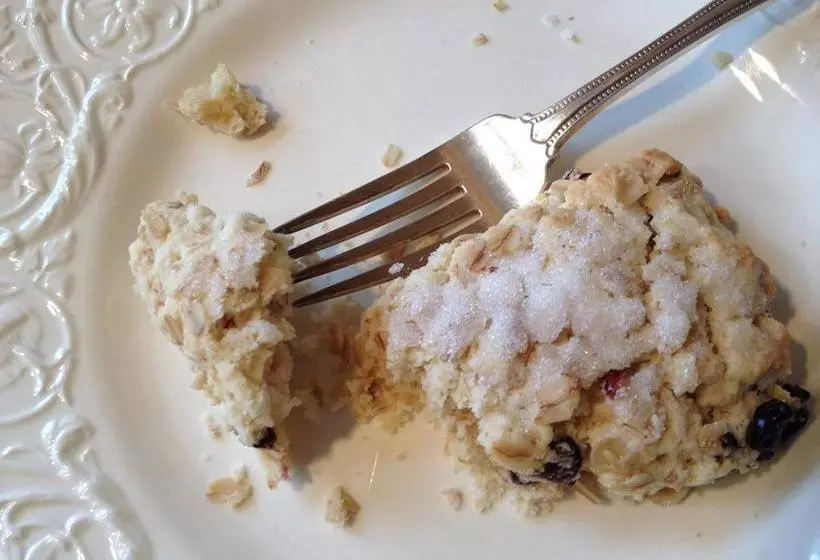 Aberdeen Stone Cottage B&b