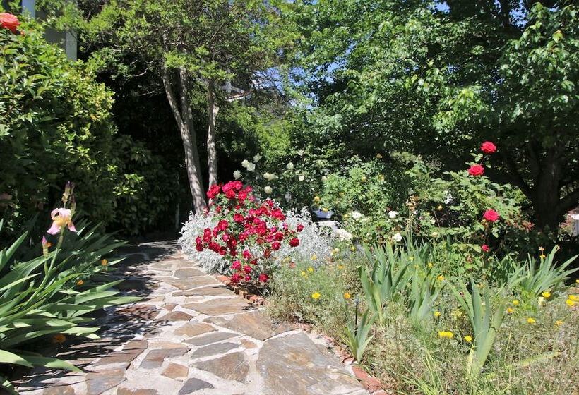 مبيت وإفطار Bradford Place Inn & Gardens