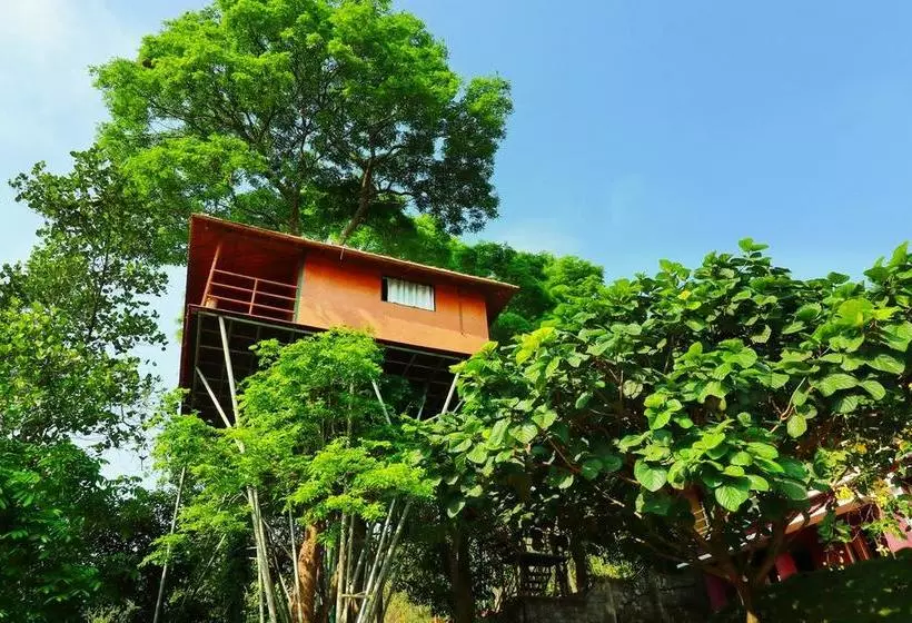 Bed and Breakfast Vythiri Meadows