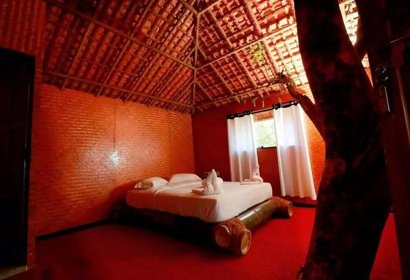 Bed and Breakfast Vythiri Meadows