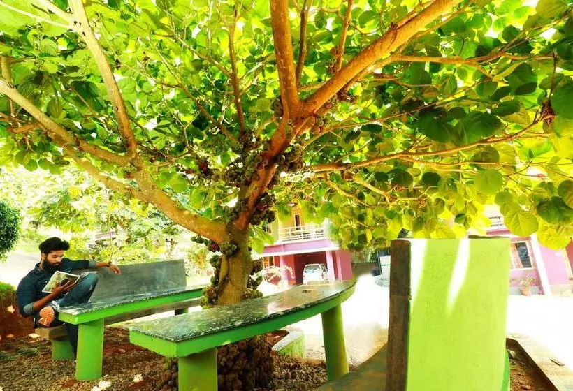 Bed and Breakfast Vythiri Meadows