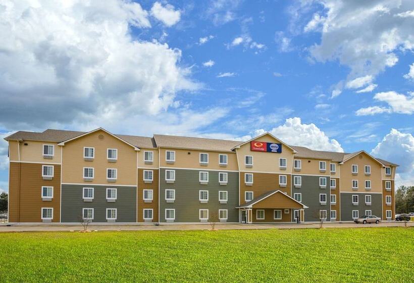 酒店 Econo Lodge Hammond