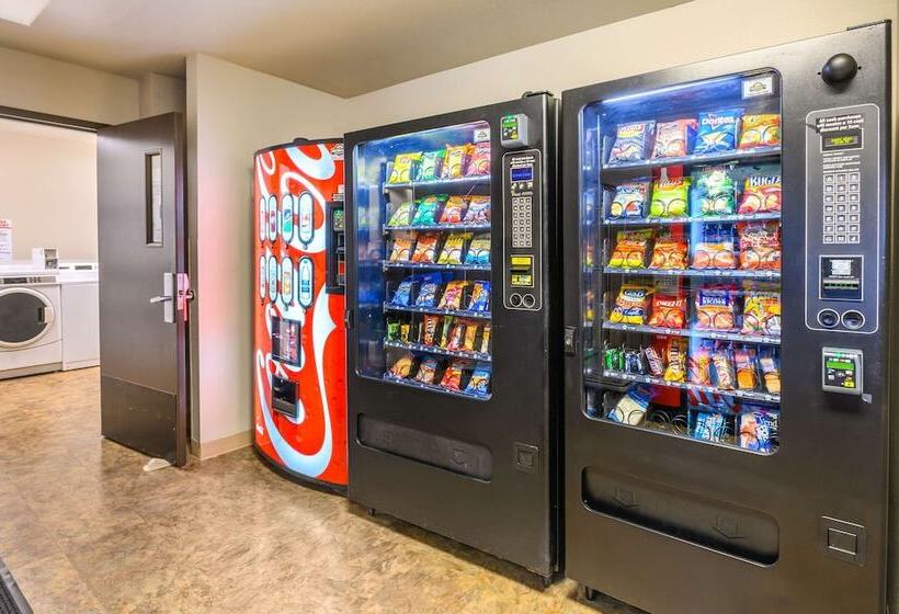 酒店 Econo Lodge Hammond