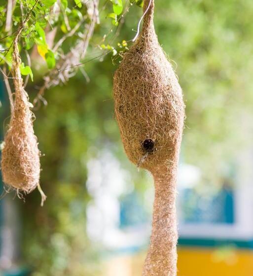 Hôtel Prem Villas Pushkar