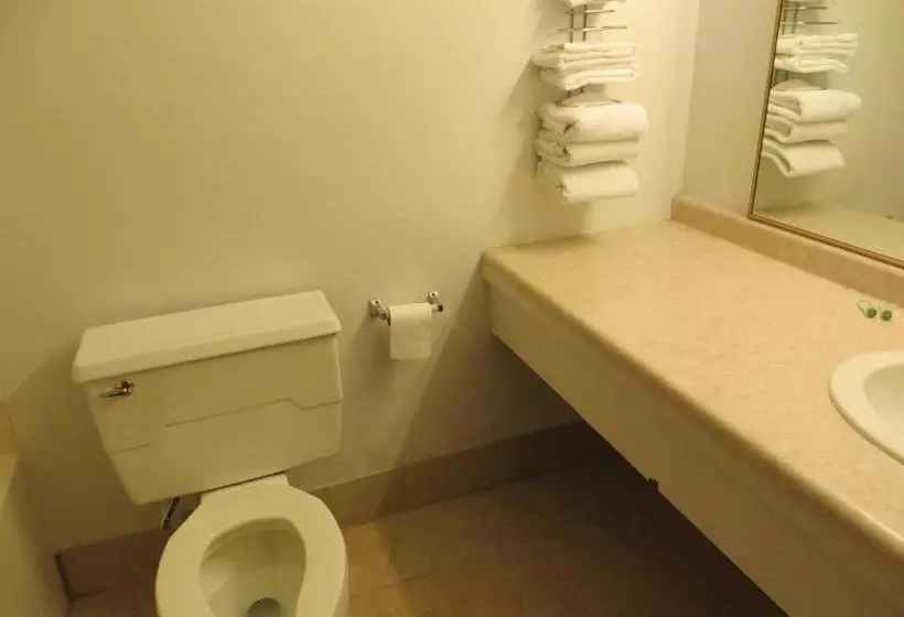 ホテル Regency Inn Hudson