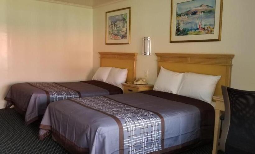 فندق على الطريق Budget Lodge