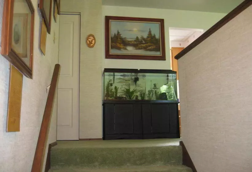 Ak Golden Umbrella Bed & Breakfast