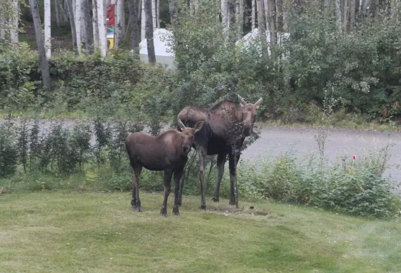 Ak Golden Umbrella Bed & Breakfast