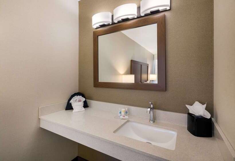 Отель Comfort Inn Virginia Horse Center