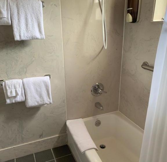 فندق على الطريق Manta Ray Inn