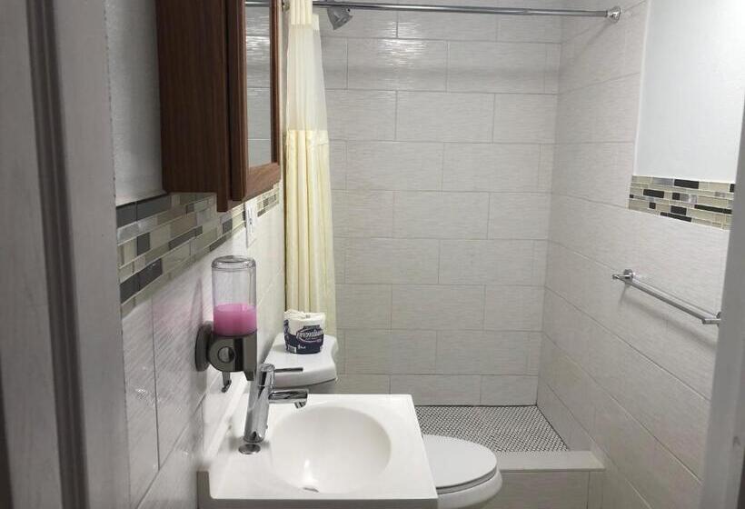 Seashell Motel And International Hostel