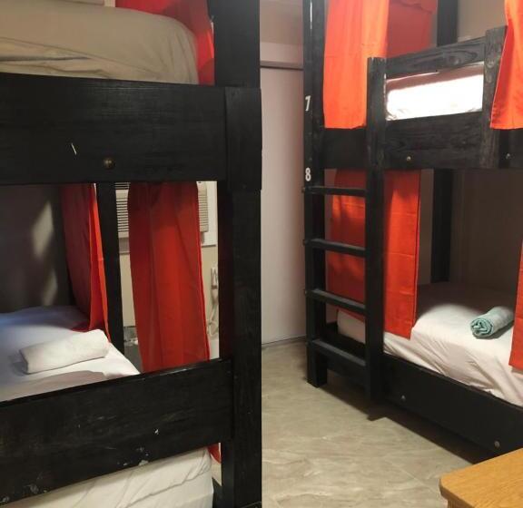 Seashell Motel And International Hostel