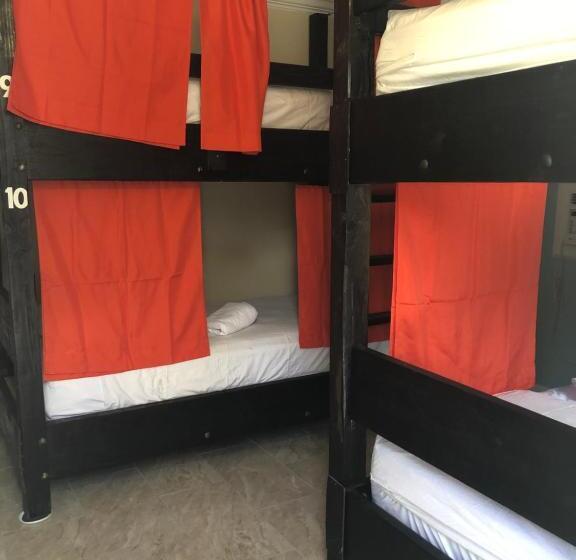 Seashell Motel And International Hostel