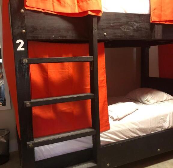 Seashell Motel And International Hostel