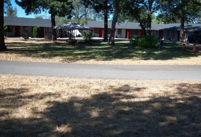 Shasta Dam Motel